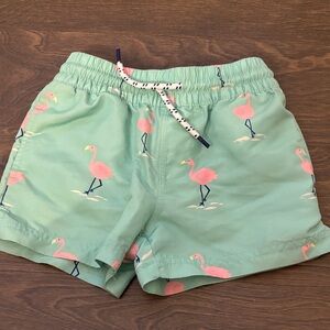 Beaufort Bonnet flamingo swim trunks